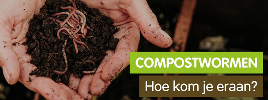 Hoe kom je aan compostwormen?